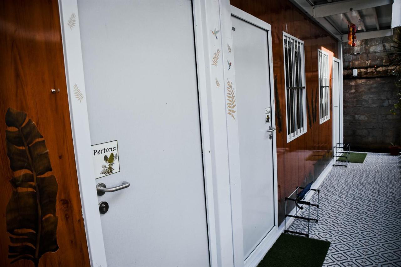 Olive Hostel 록사스 시티 외부 사진