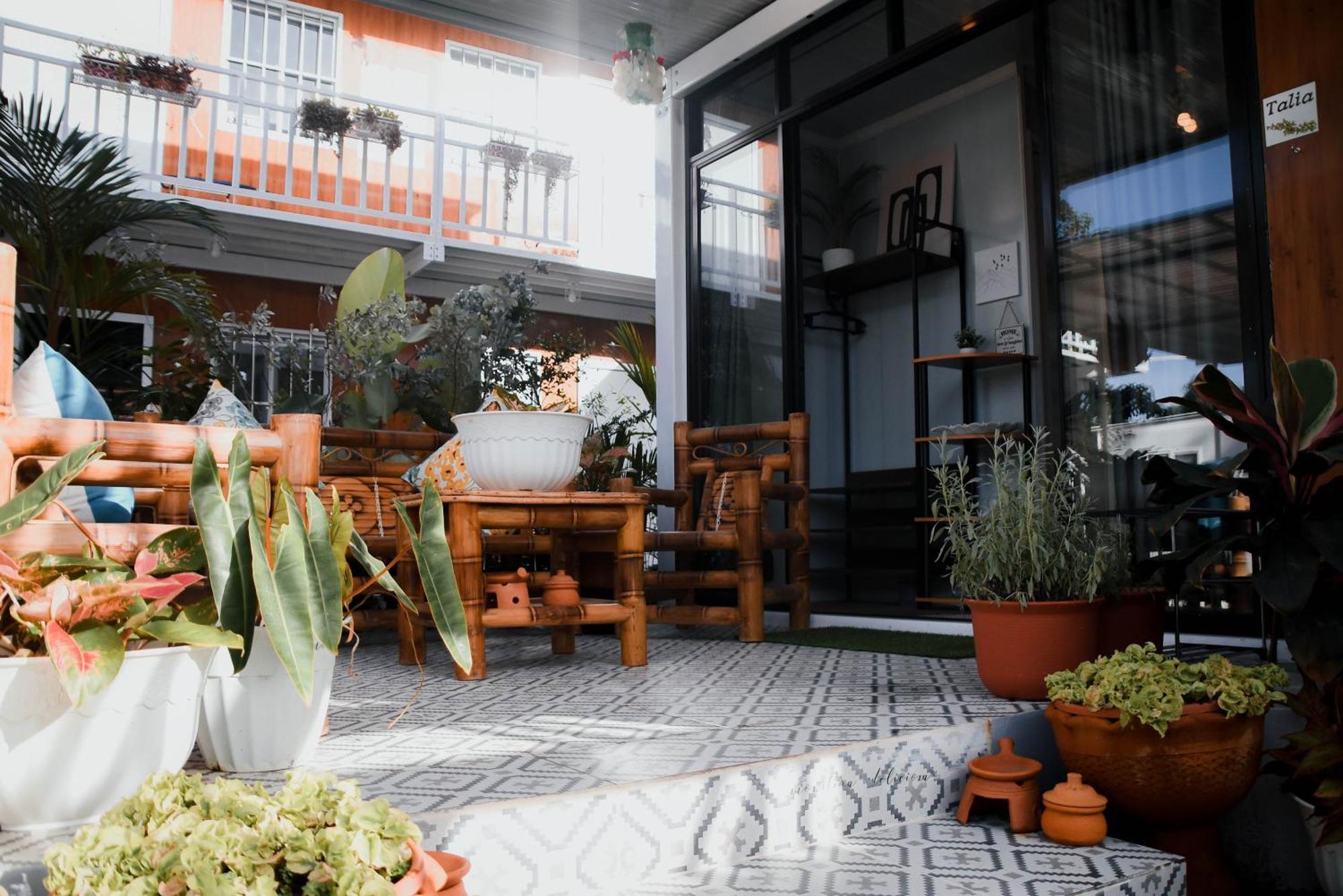 Olive Hostel 록사스 시티 외부 사진