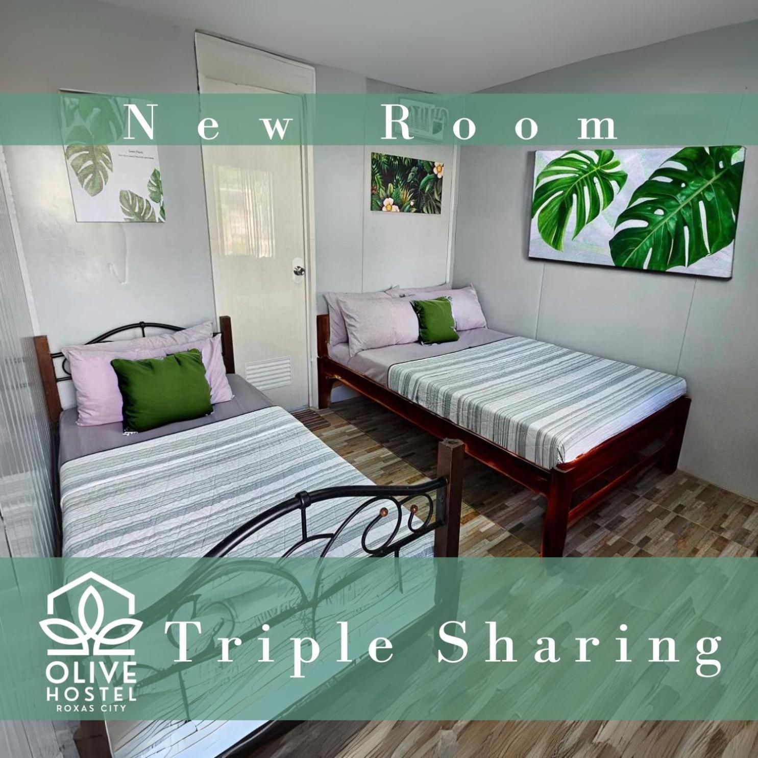 Olive Hostel 록사스 시티 외부 사진